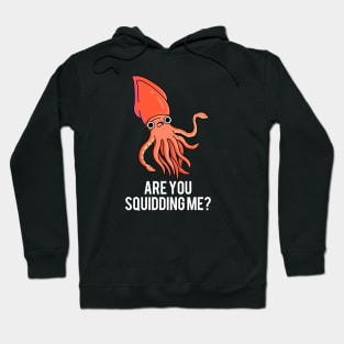 Are You Squidding Me Funny Animal Pun Hoodie